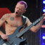 flea