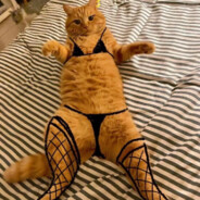 专业洗碗一百年9527