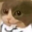 mo慕斯