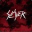 SLAYER|Christ Illusion|