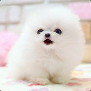 帅的一批伤害还高