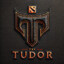 the TUDOЯ