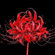 Pablo - steam id 76561198368699053