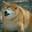 [+DMG] Captain Corky’s avatar