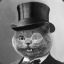 Sir Happy Cat