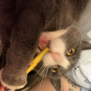 2Spook