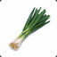 Green Onion