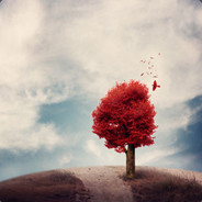 夏夜往北海未眠