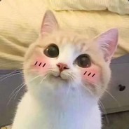 龍
