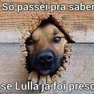 Fallencido