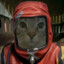 shishka bandit.gg
