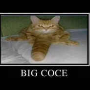 дам похволы