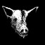 Sir Piggy