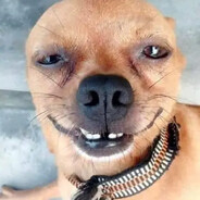 Anteq13SKINS - steam id 76561199553072775