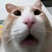 опорник лоутаба