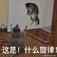 卧槽牛逼先拉我