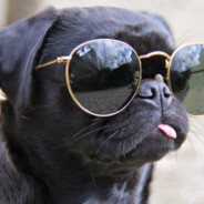 ЕгорчикТесак