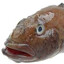 Kishiro
