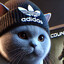 Slav Cat