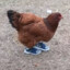 chubzan