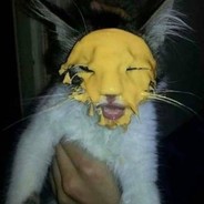 Señor cheesecate- YMYKMM