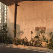 我开心超人开心就超人