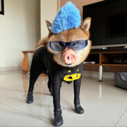 纽卡叔叔的大钢门