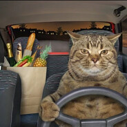 DRUNK DRIVER