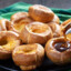 YORKIE PUDDING MAGIC