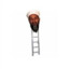 osama bin ladder