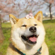 犹豫=败北 果断=白给