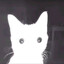 Der Kater