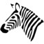 followthatzebra