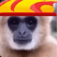 VisVendeen