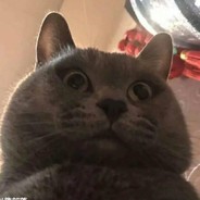 A man's life passes like a dream