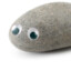 Cooper The Pet Rock