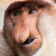 Namoooooooooo!!!!!!!