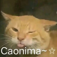 Ciallo～ (∠・ω< )⌒★