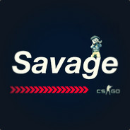 savage - steam id 76561197971753973