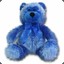 Kevthebluebear