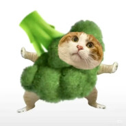 小猫爱吃西兰花