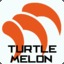 Turtlemelon