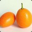 Overly Ripe Kumquat