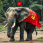 Sovieto elephino