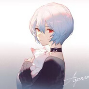 ________________________________