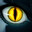 w1zzpeek