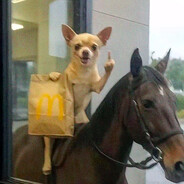 全宇宙最善良最温柔最有素质最善解人意的人