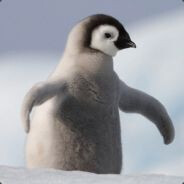 Ven
