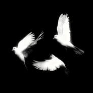 󠀡󠀡󠀡󠀡󠀡󠀡