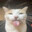 Neut